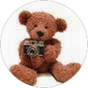 Ted Travel profile picture